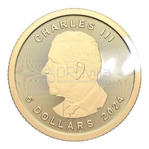 5 Dollari Foglia d'acero 2024